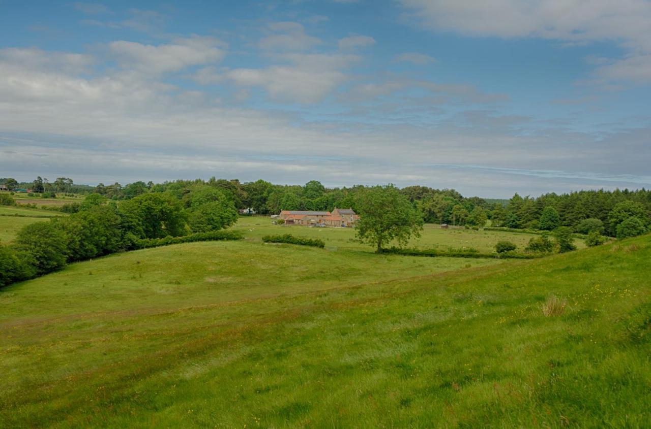 Rawcliffe House Farm Villa พิกเคอริง ภายนอก รูปภาพ