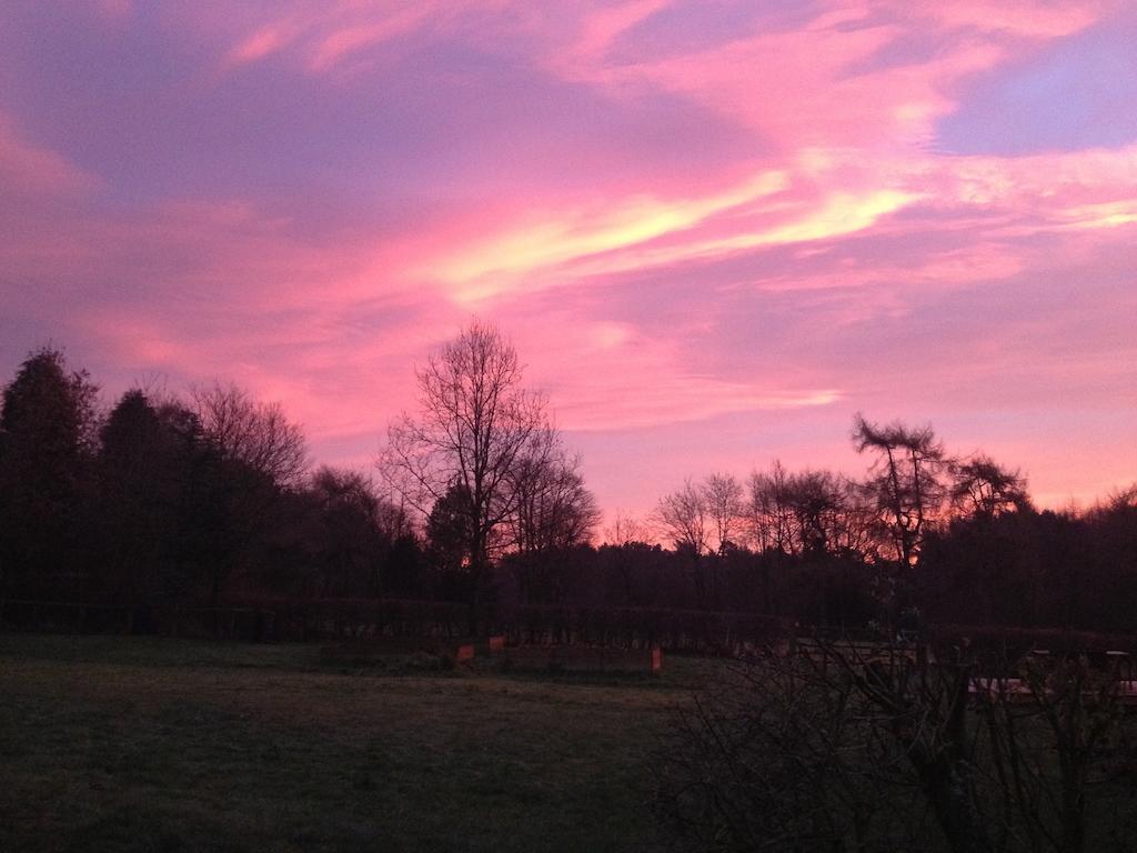Rawcliffe House Farm Villa พิกเคอริง ภายนอก รูปภาพ