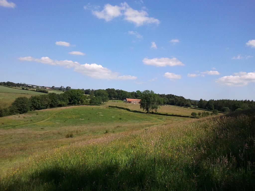 Rawcliffe House Farm Villa พิกเคอริง ภายนอก รูปภาพ