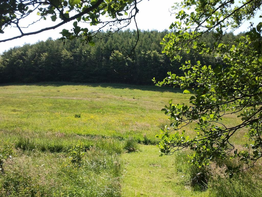 Rawcliffe House Farm Villa พิกเคอริง ภายนอก รูปภาพ