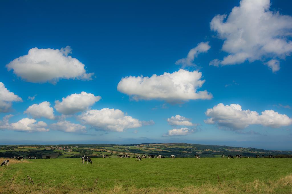 Rawcliffe House Farm Villa พิกเคอริง ภายนอก รูปภาพ
